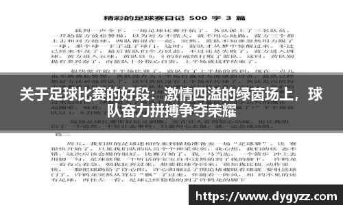 关于足球比赛的好段：激情四溢的绿茵场上，球队奋力拼搏争夺荣耀