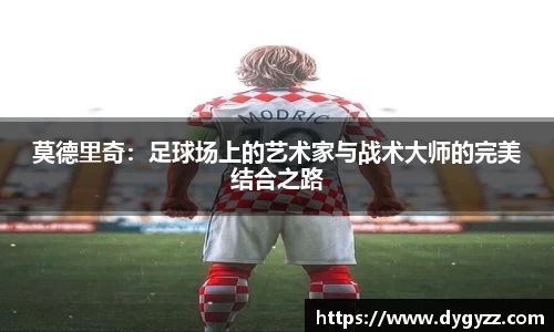 B体育bsports