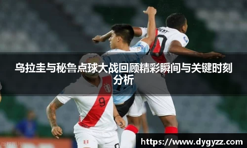 bsports官网入口
