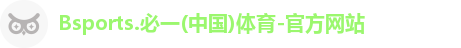 B体育官网